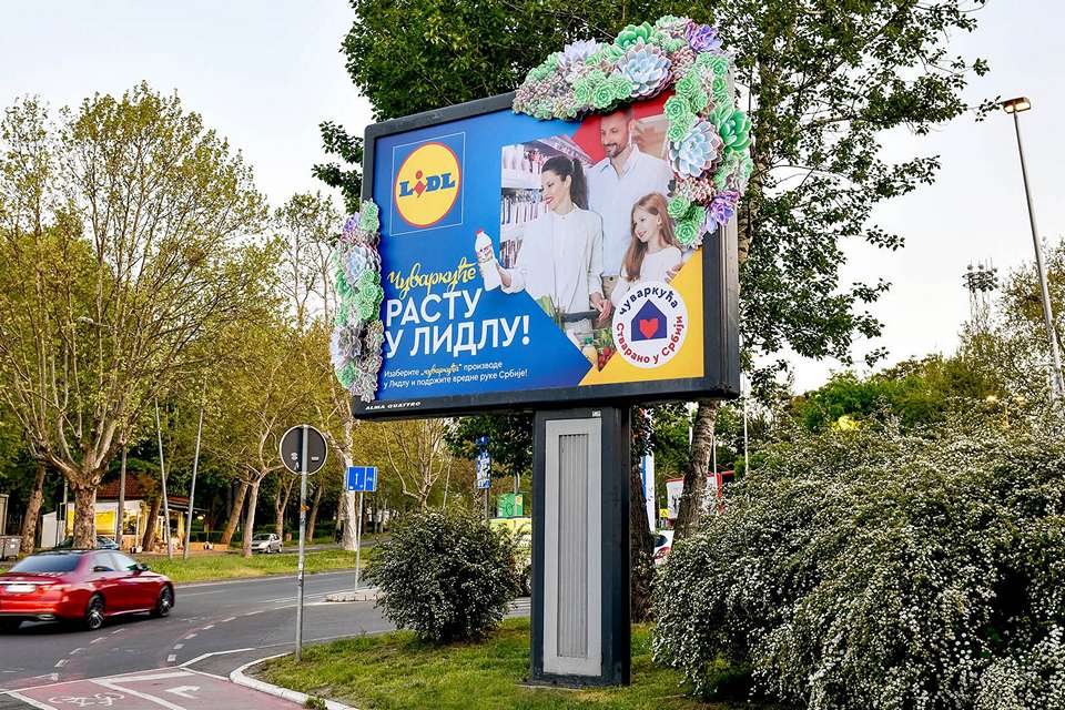 AQInnovate-063_LIDL-Cuvarkuca